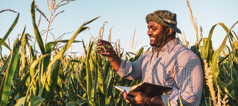 Agriculture and agri-food occupations Draw #386